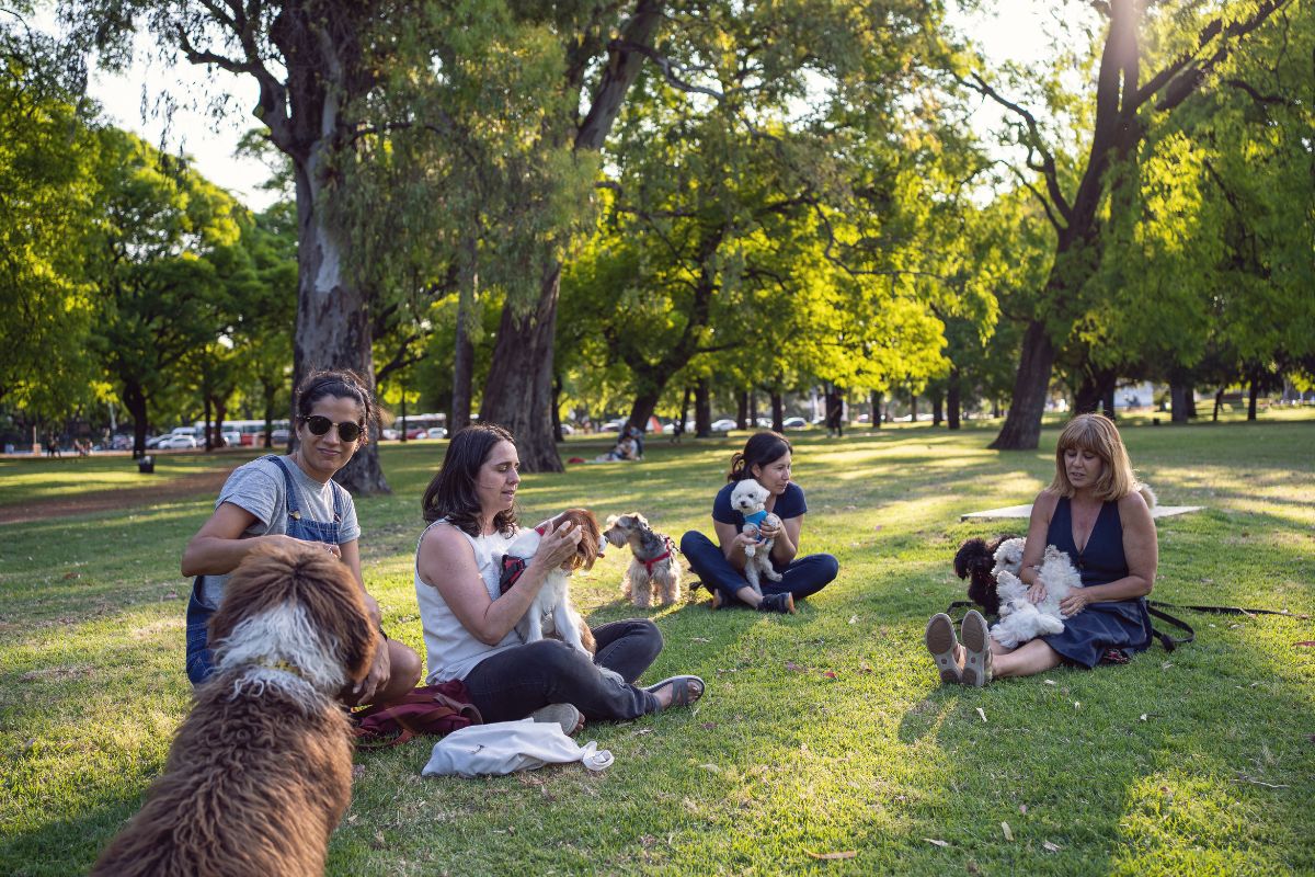 7 Dog Parks in Chicago Fursure Blog